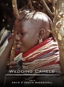 The Wedding Camels Trailer