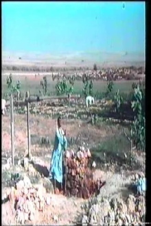 The Well Trailer