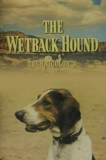 The Wetback Hound Trailer