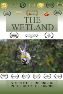 The Wetland Trailer