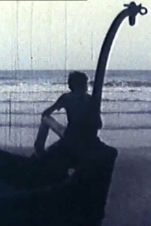The Whale Trailer