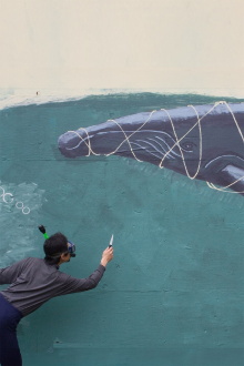 The Whale Story Trailer