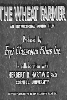 The Wheat Farmer Trailer