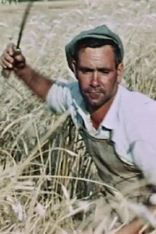 The Wheat Passion Trailer