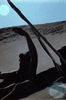 The Whirled Trailer