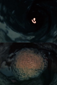 The Whirlpool Trailer