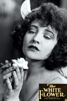 The White Flower Trailer