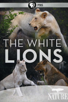The White Lions Trailer