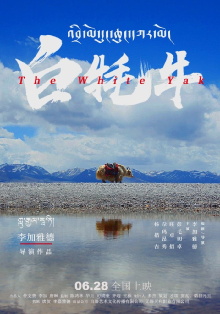 The White Yak Trailer
