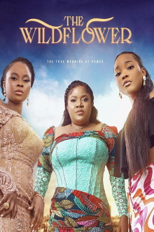The Wildflower Trailer