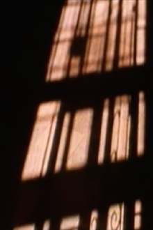 the willing voyeur... Trailer
