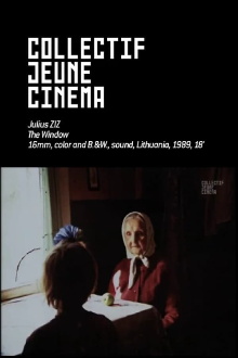 The Window Trailer
