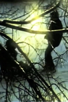 The Window Trailer
