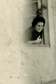 The Window Trailer