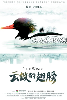 The Wings Trailer