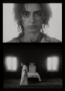 The Wisdom Tree Trailer