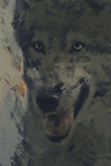 The Wolf Trailer