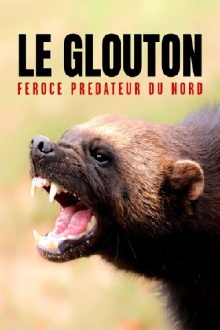 The Wolverine: Fierce Predator of the North Trailer