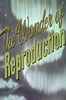 The Wonder Of Reproduction Trailer