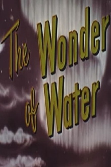 The Wonder Of Water Trailer