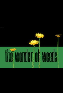 The Wonder of Weeds Trailer