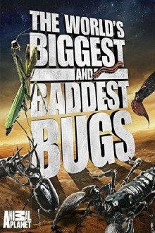 The World's Biggest and Baddest Bugs Trailer