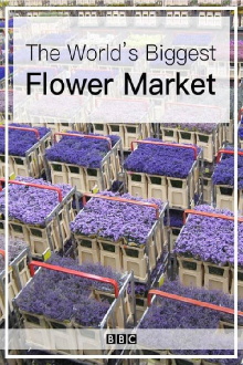 The World's Biggest Flower Market Trailer