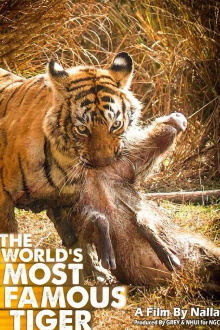 The World's Most Famous Tiger Trailer