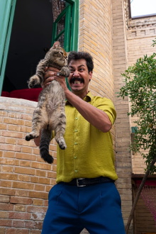 The Year of Cat Trailer