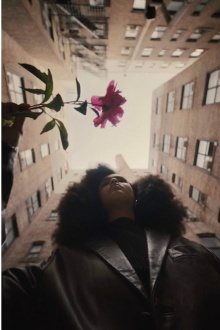 The Young Lordes Collective Trailer