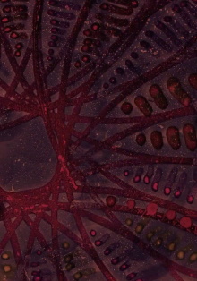 Theoria Trailer
