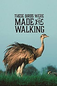 These Birds Were Made for Walking Trailer