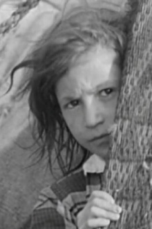 They Come Across the Borders Trailer