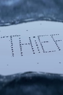 Thief Trailer