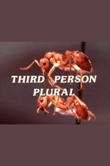 Third Person Plural Trailer
