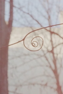 This Film Trailer