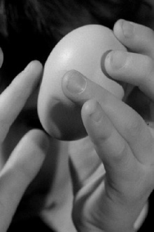 This Is an Egg Trailer