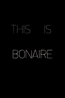 This is Bonaire Trailer