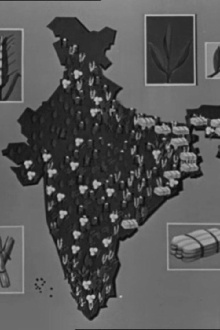 This Our India Trailer