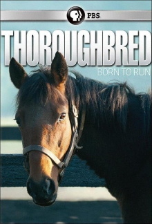 Thoroughbred: Born to Run Trailer