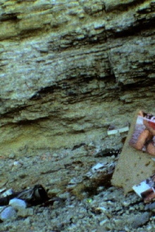 Those Inescapable Slivers of Celluloid Trailer