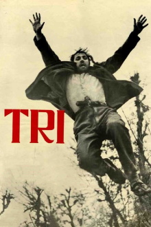 Three Trailer