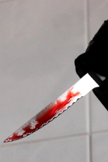 Three Bloody Photographs Trailer