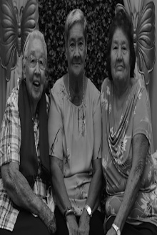 Three Parallel Reflections on the Past Trailer