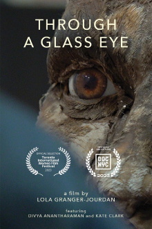 Through a Glass Eye Trailer
