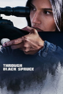 Through Black Spruce Trailer