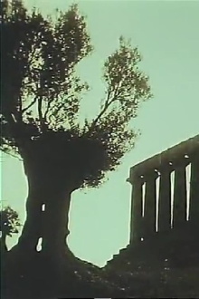 Through Sicily Trailer