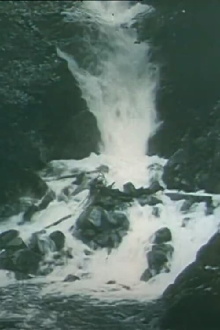 Through the Alb Valley to Sankt Blasien Trailer