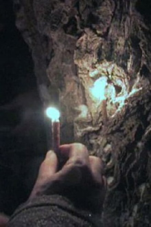 Through the Needles of Coniferous Trees Trailer