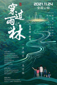 Through The Rainforest Trailer